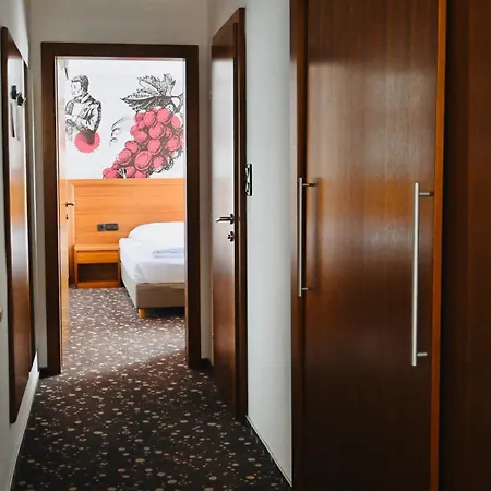 Piramida Hotel Máribor